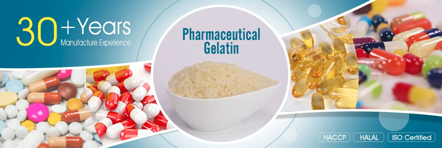 quality Gelatin factory