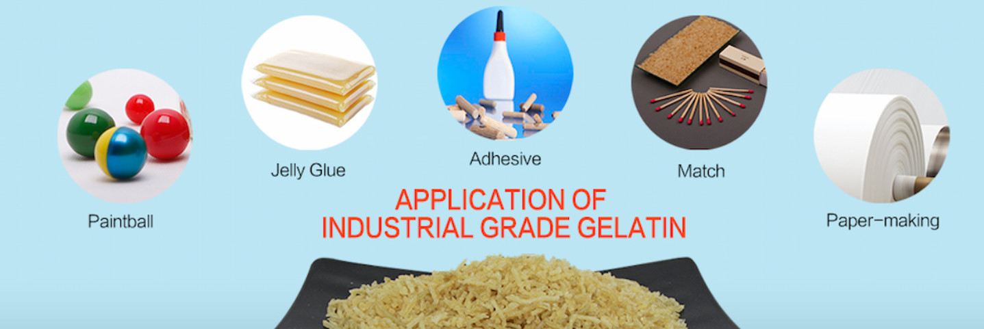 quality Gelatin factory