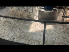 Pharmaceutical Grade Gelatin Powder From Bovine Source With 160-280 Bloom Gel Strength