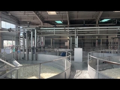 Pharmaceutical Grade Gelatin Powder for Soft Capsule Production